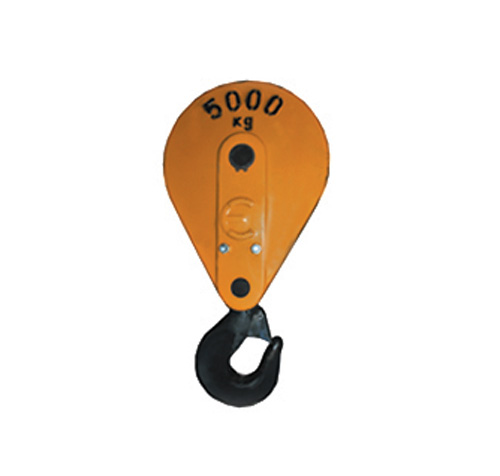 product31